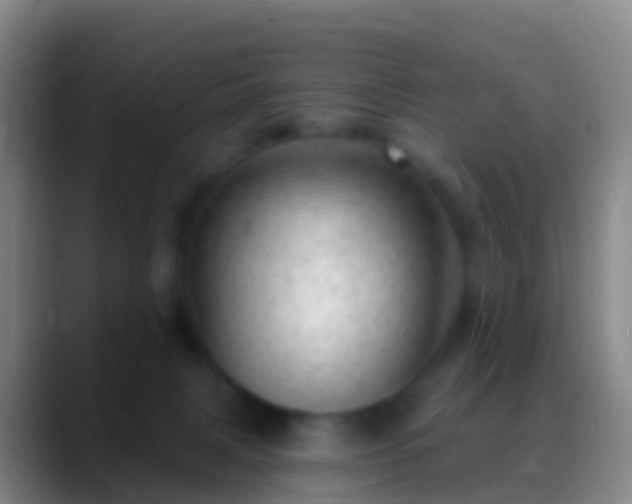 X0000088900079200706151855
