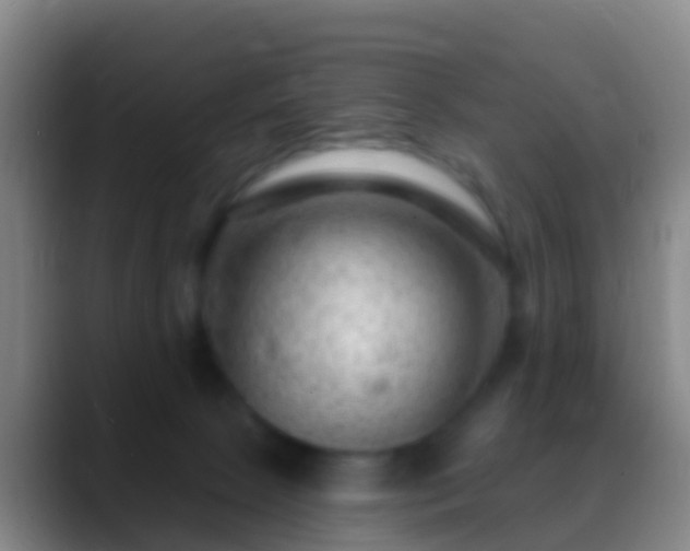 X0000088900081200706151855