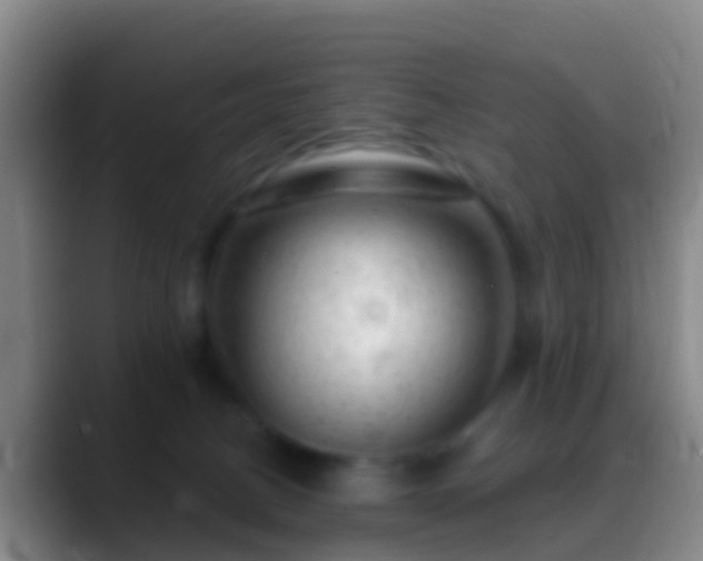 X0000088900082200706151855