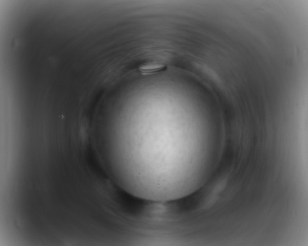 X0000088900083200706151855