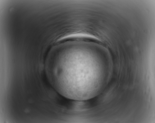 X0000088900085200706151855