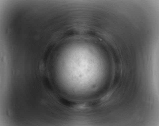 X0000088900086200706151855
