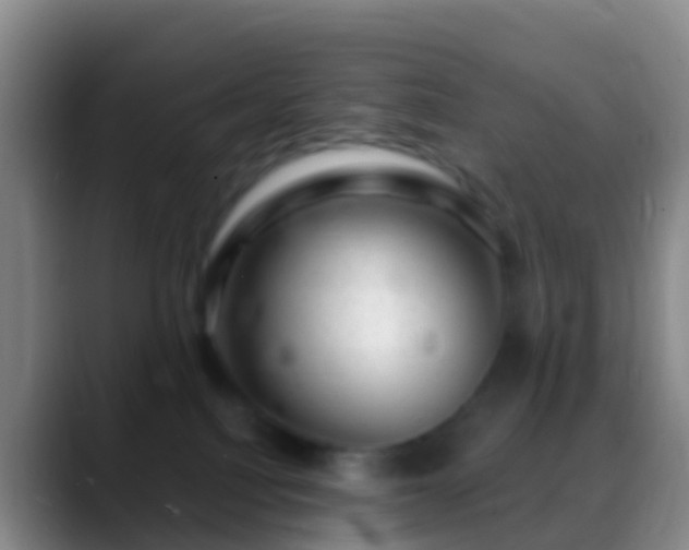 X0000088900088200706151855