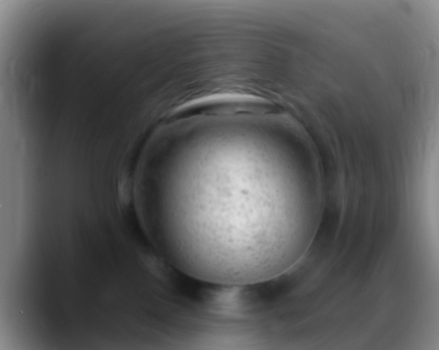 X0000088900090200706151855