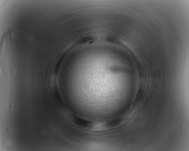 X0000088900093200706151856