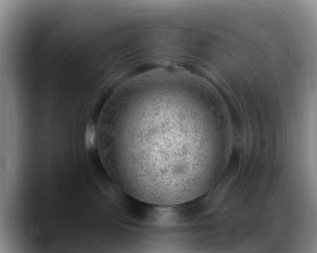 X0000088900095200706151856