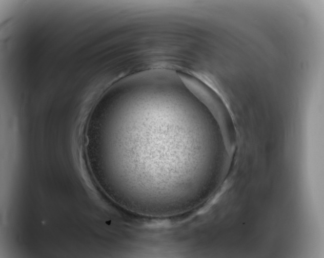 X0000088900097200706151855