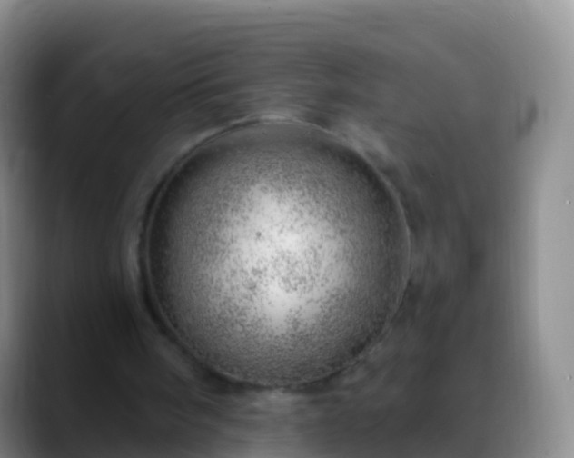 X0000088900098200706151855