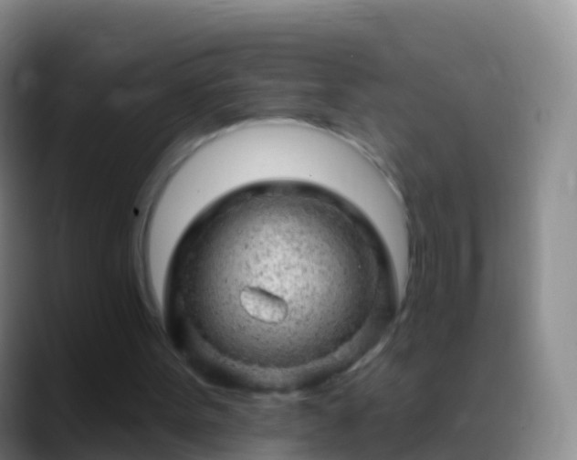 X0000088900099200706151855