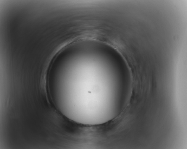 X0000088900100200706151855