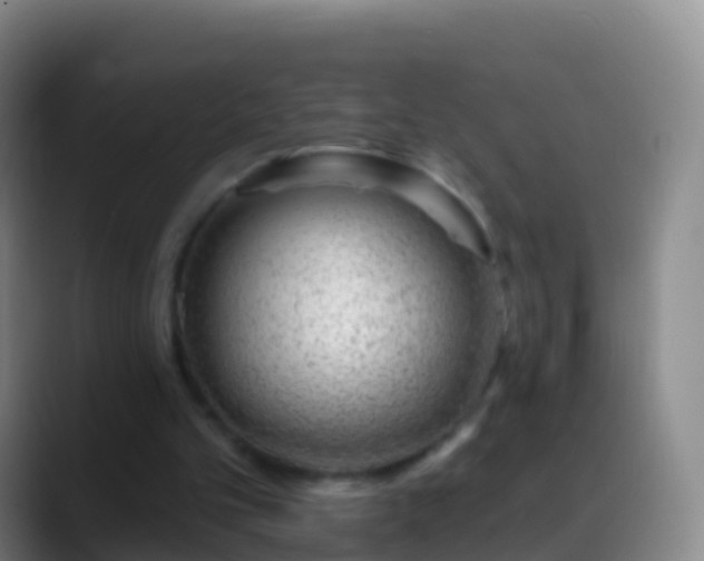 X0000088900101200706151855