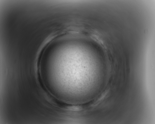 X0000088900102200706151855