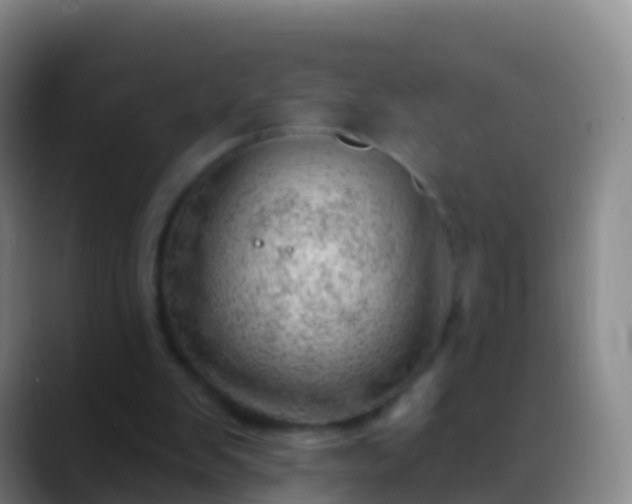X0000088900103200706151855