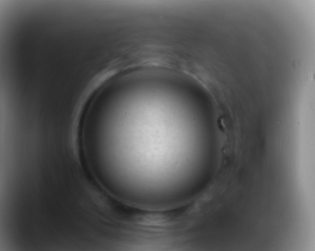 X0000088900104200706151855