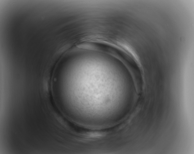 X0000088900105200706151855