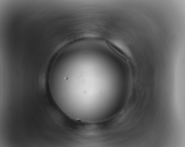X0000088900108200706151855
