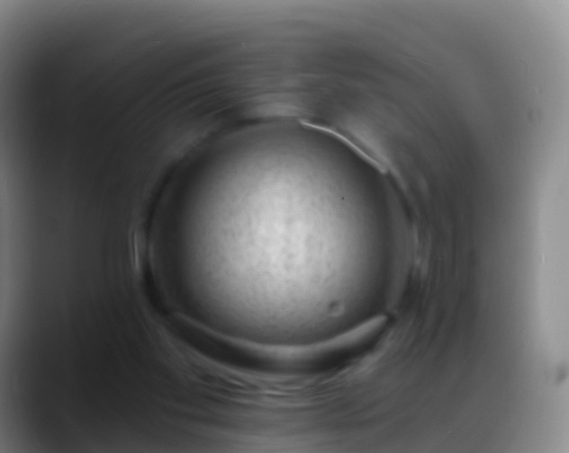 X0000088900109200706151855