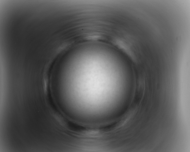 X0000088900110200706151855