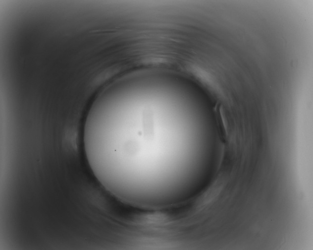 X0000088900112200706151855