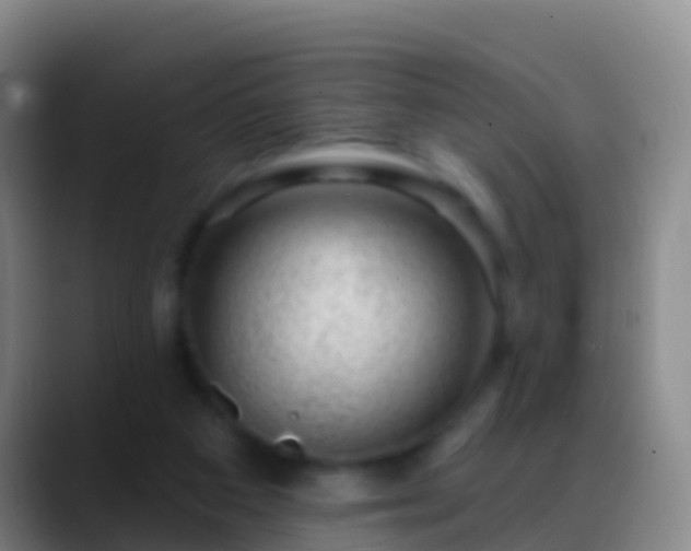 X0000088900113200706151855