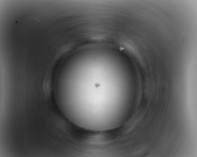 X0000088900116200706151855