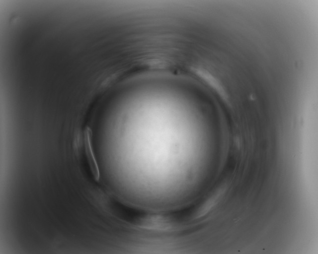 X0000088900117200706151855