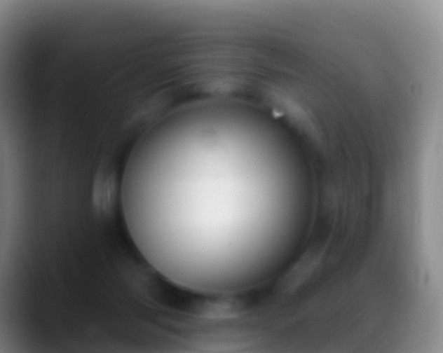 X0000088900118200706151855