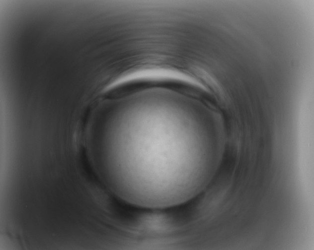 X0000088900119200706151855