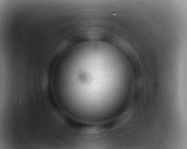 X0000088900120200706151855