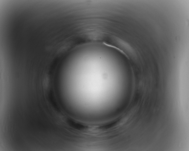 X0000088900121200706151855