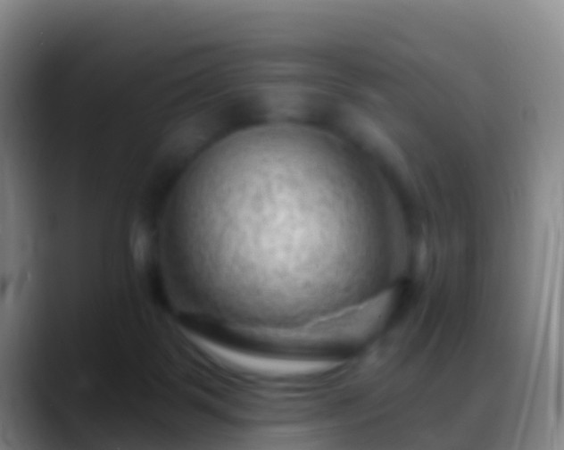 X0000088900123200706151855