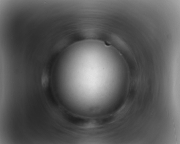 X0000088900124200706151855