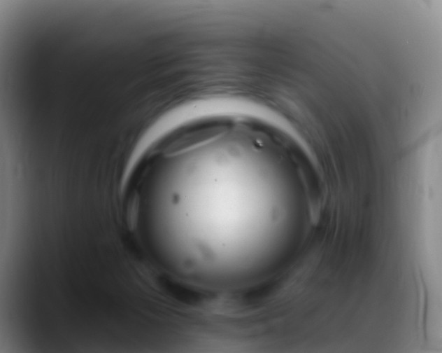 X0000088900125200706151855