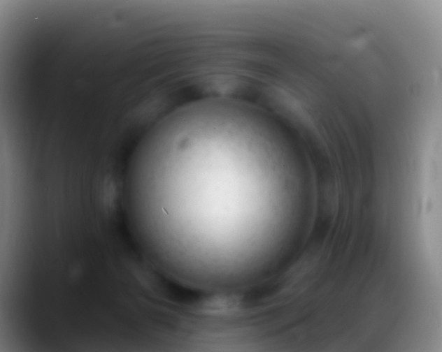 X0000088900126200706151855