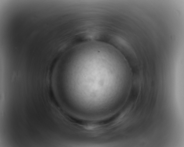 X0000088900127200706151855