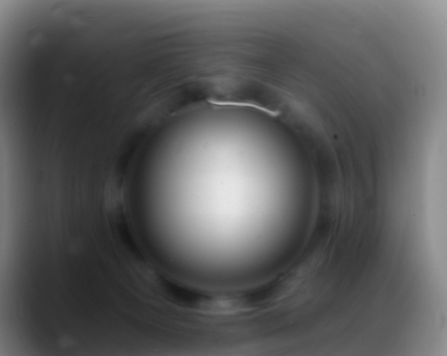 X0000088900129200706151855