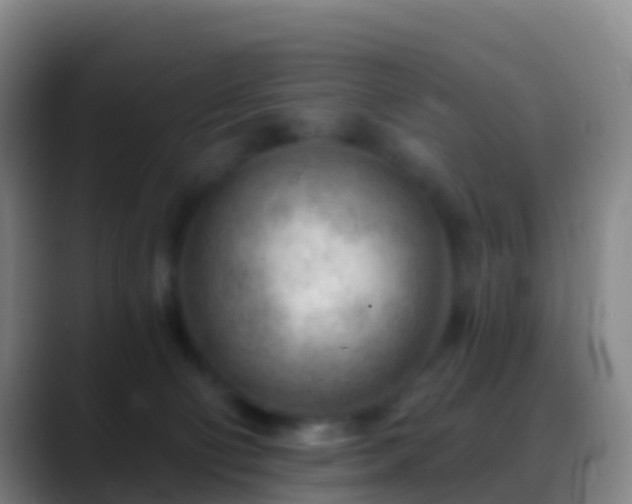 X0000088900130200706151855