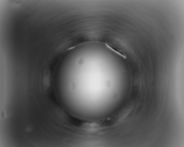 X0000088900133200706151855