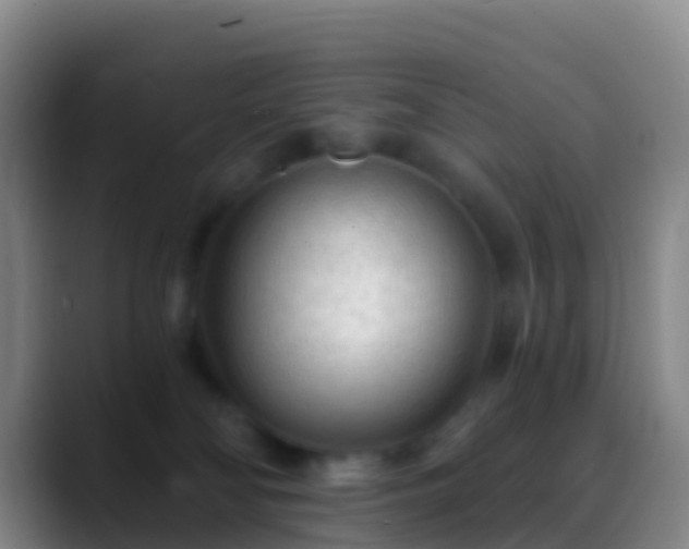 X0000088900134200706151855