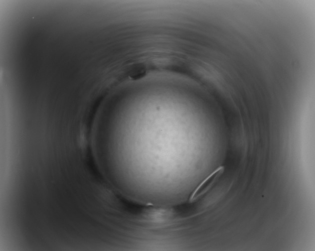 X0000088900135200706151855