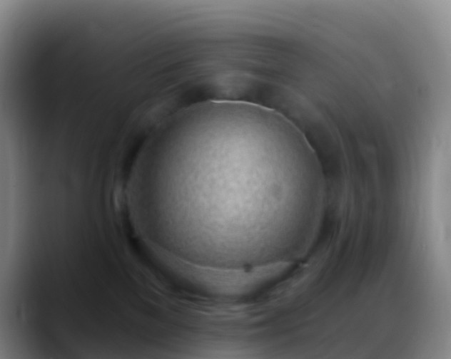 X0000088900137200706151855