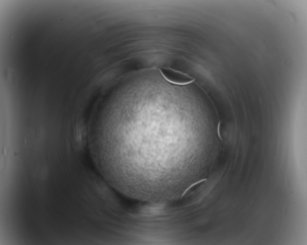 X0000088900138200706151855