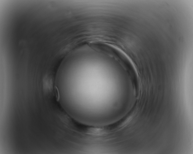 X0000088900139200706151855