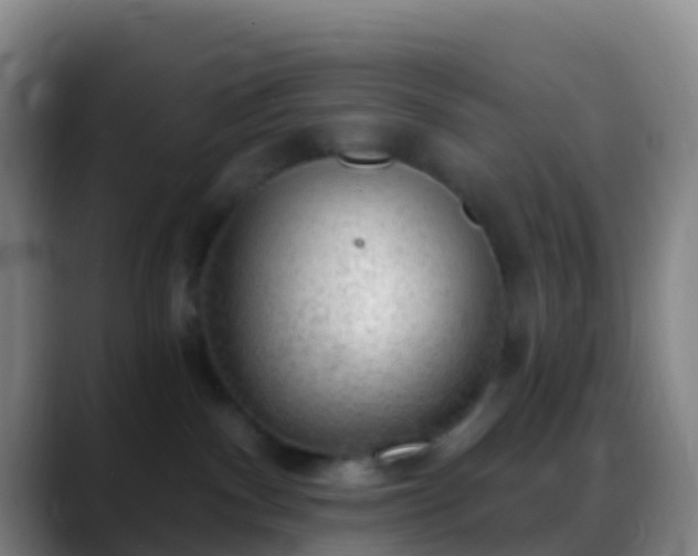 X0000088900140200706151855