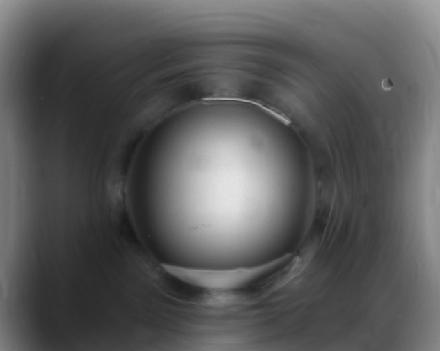X0000088900141200706151855