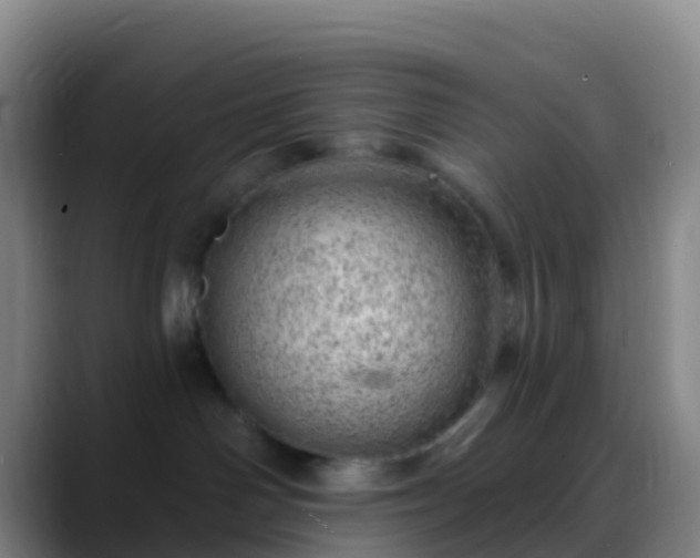 X0000088900142200706151854