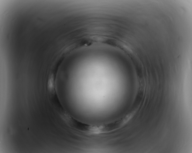 X0000088900143200706151854