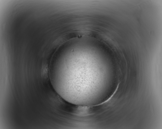 X0000088900144200706151854