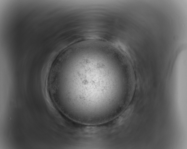X0000088900145200706151854