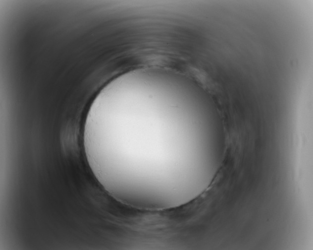 X0000088900146200706151854